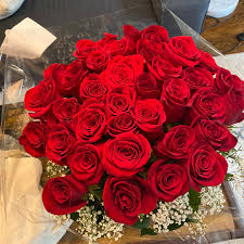 Rose Bundle 2